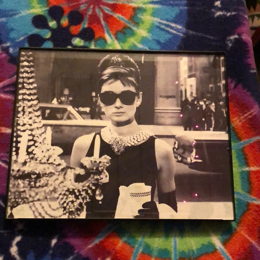 Audrey Hepburn framed picture